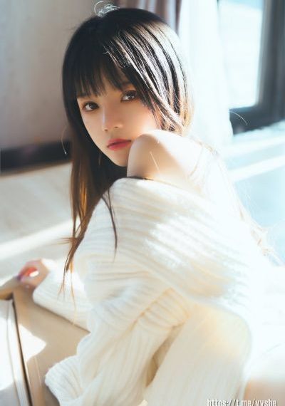主君的太阳
