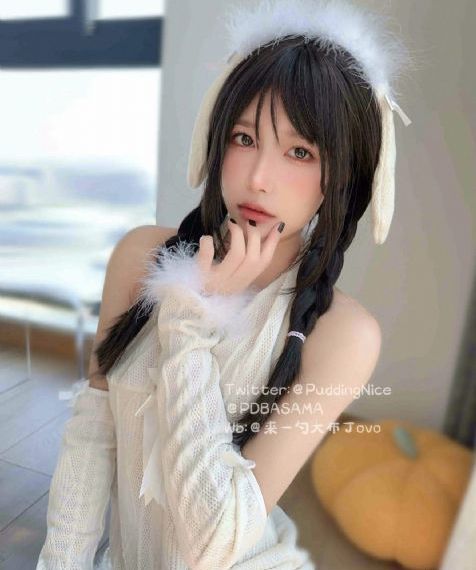 壳中少女
