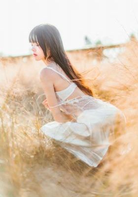 傲骨贤妻 电视剧