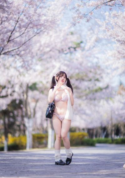 综艺大集合