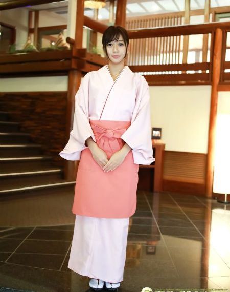 一仆二主电视剧
